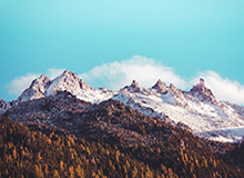 yunkai体育-尼克斯送奇才16连败 唐斯26+16布伦森23分