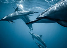 yunkai官网-蒯曼获队内选拔赛冠军 锁定伦敦世乒赛参赛资格